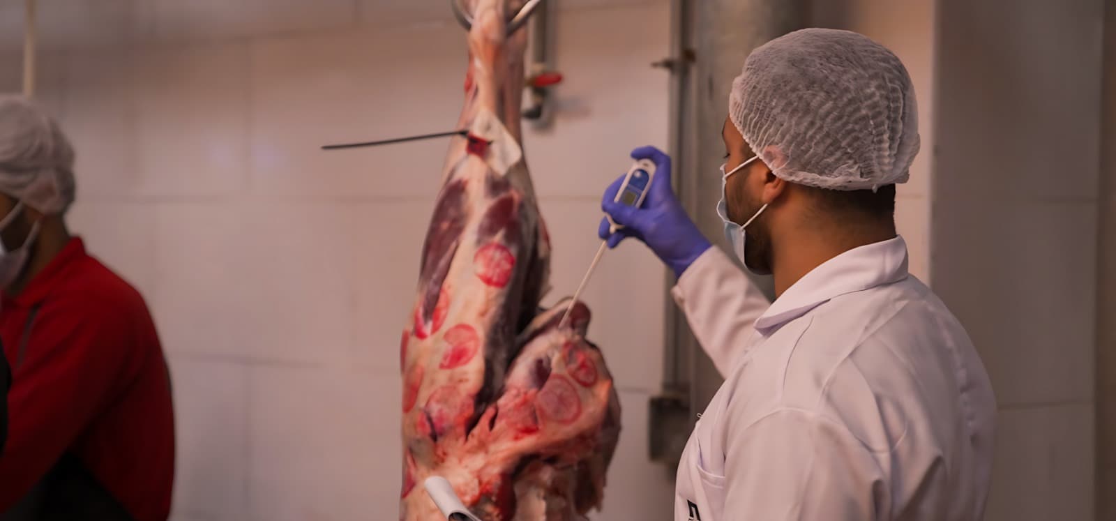 Improving-Meat-Quality